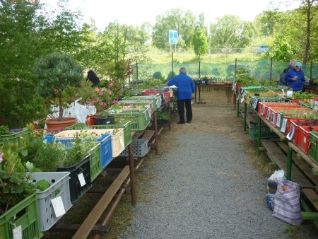 Přejímka rostlin do prodeje